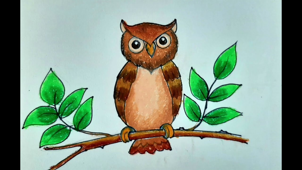 owl drawing for kids