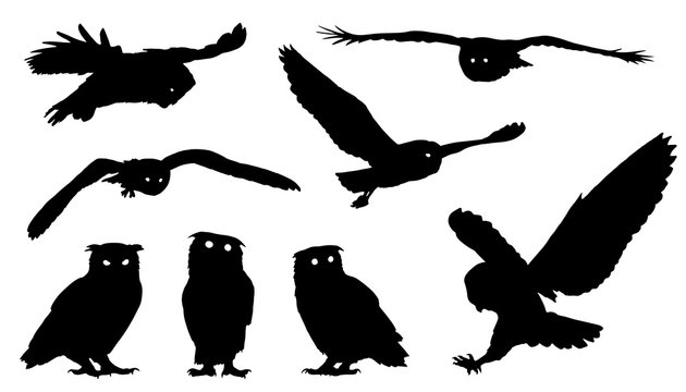 owl silhouettes Stock-Vektorgrafik | Adobe Stock