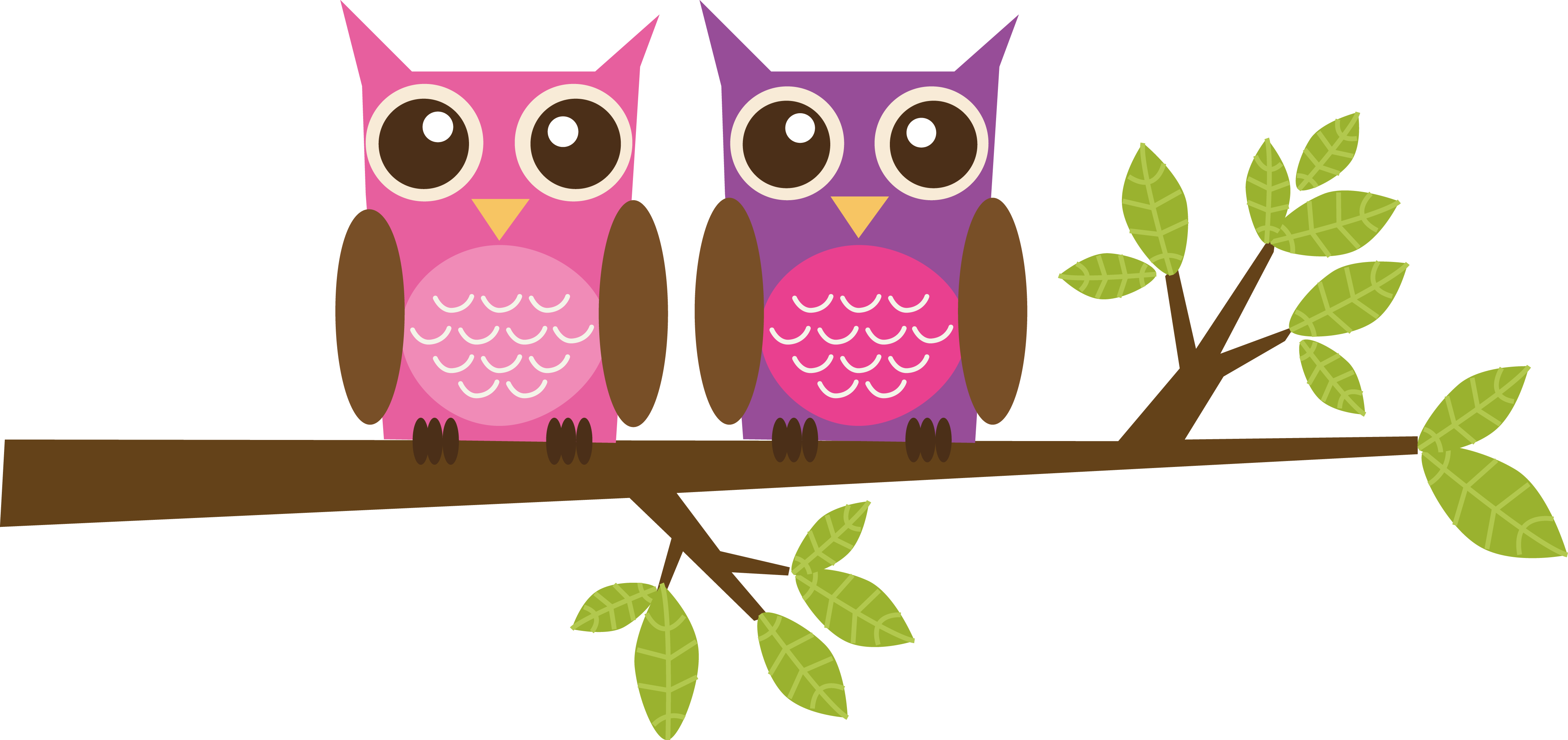 owls pictures cartoons