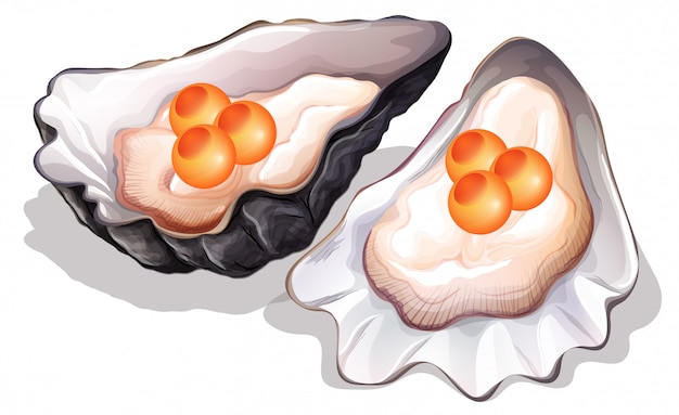 oysters cliparts
