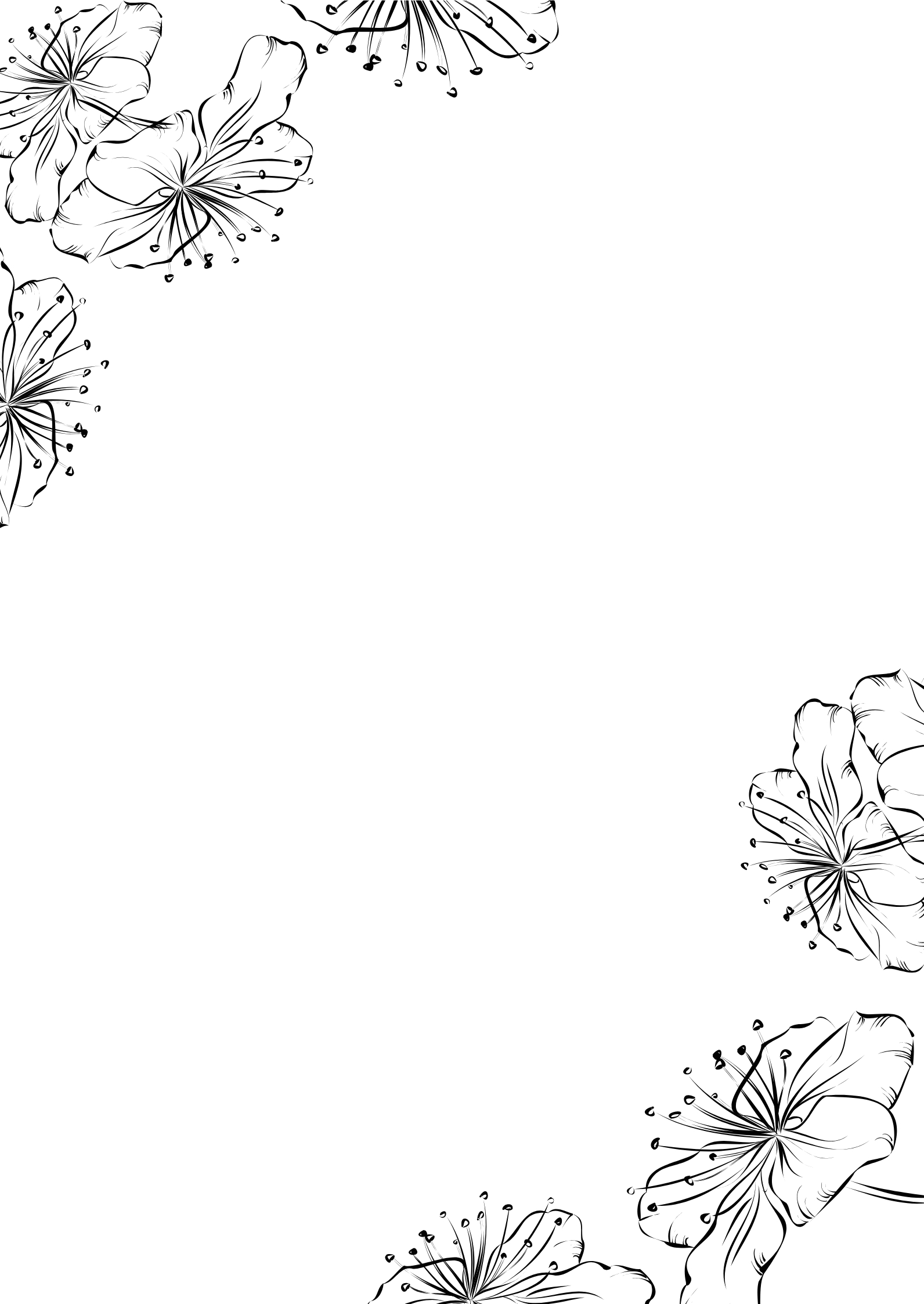 page border black and white