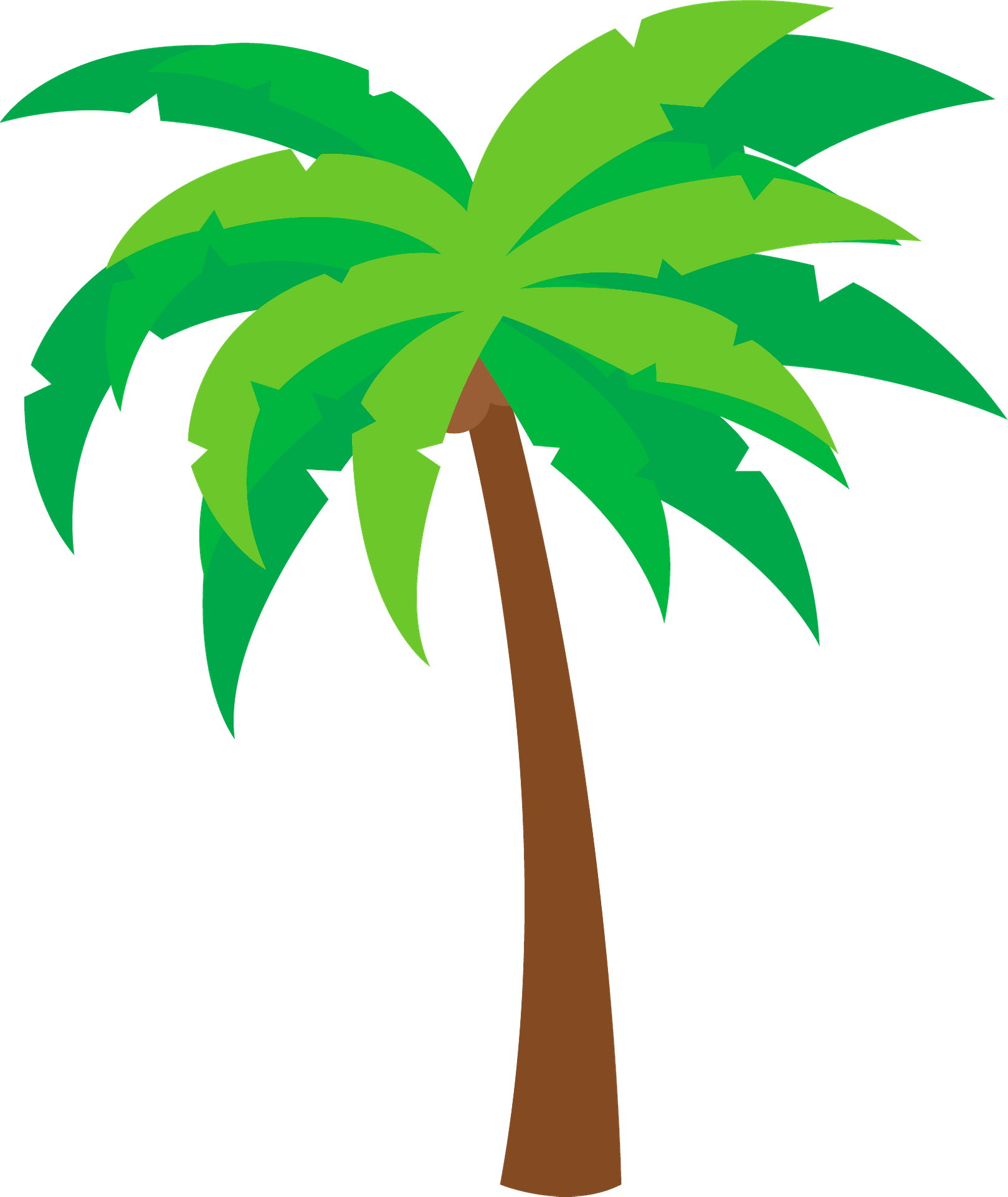 Palme - Kostenlose Vektor-Clipart-Bilder auf clipart library.com