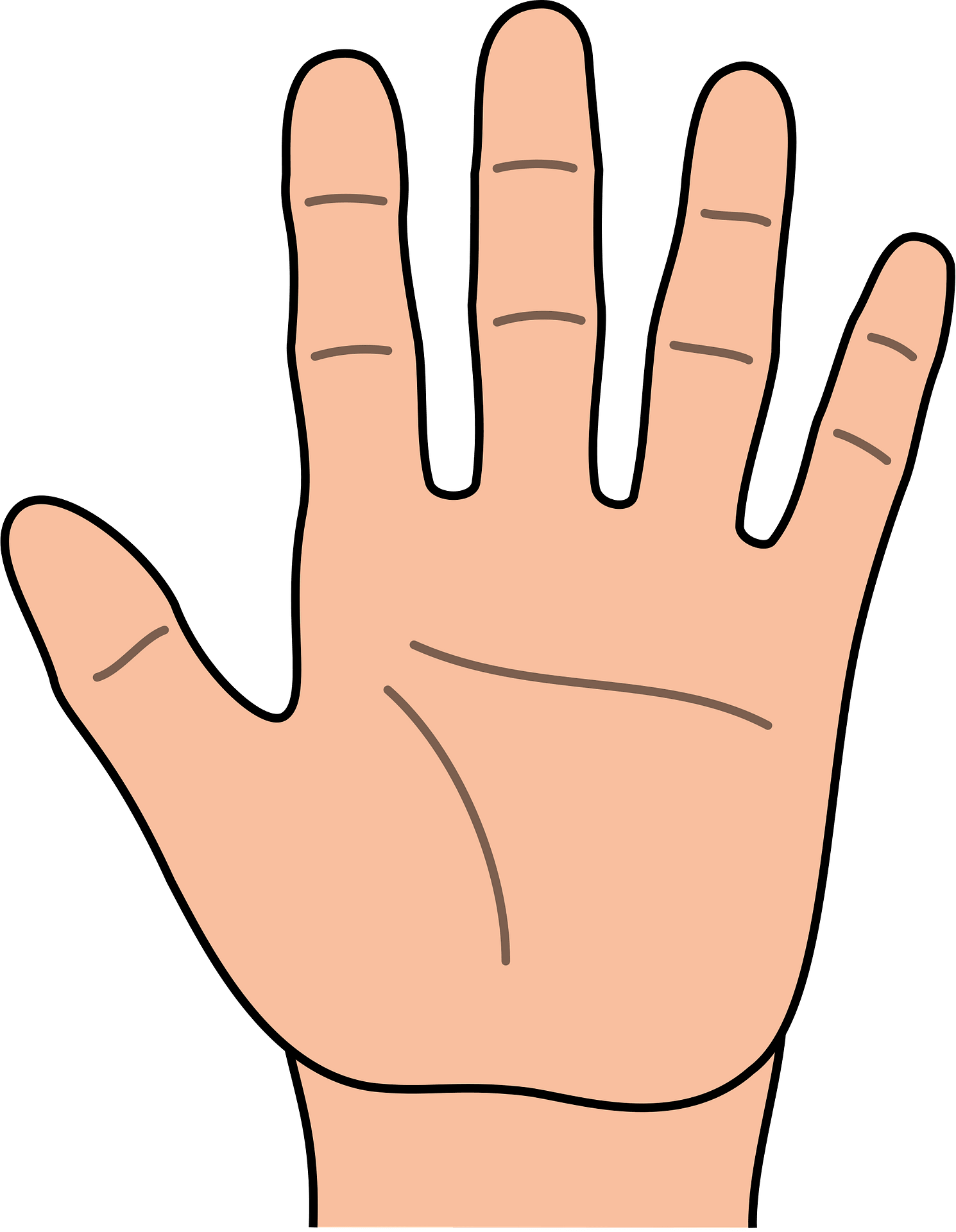 Open Hand - Palm Side - Free vector clipart images on clipart library.com