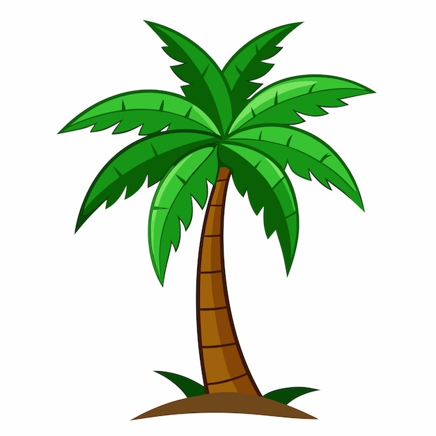 Premium Vector | Palm tree clipart cartoon Illustration drawing