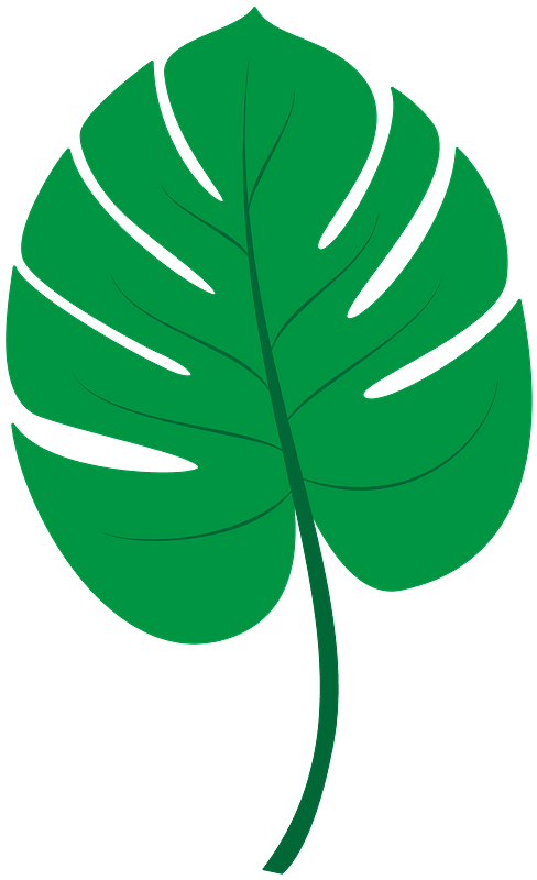 palm leaves clipart