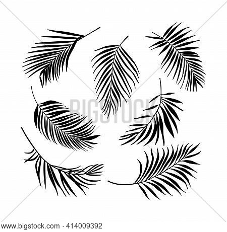 Palm Tree Leaves Vector &amp; Photo (Free Trial) | Bigstock