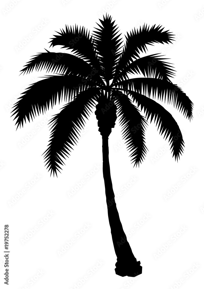 Palm Tree Silhouette Stock-Vektorgrafik | Adobe Stock