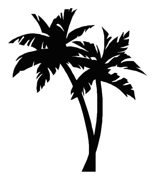 palm tree vector art free
