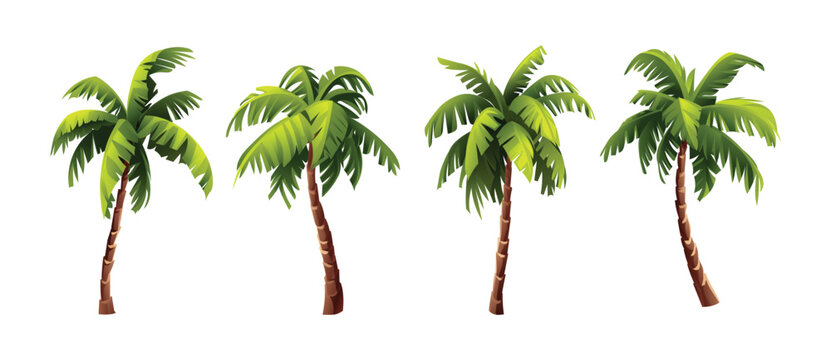 palm tree vector art