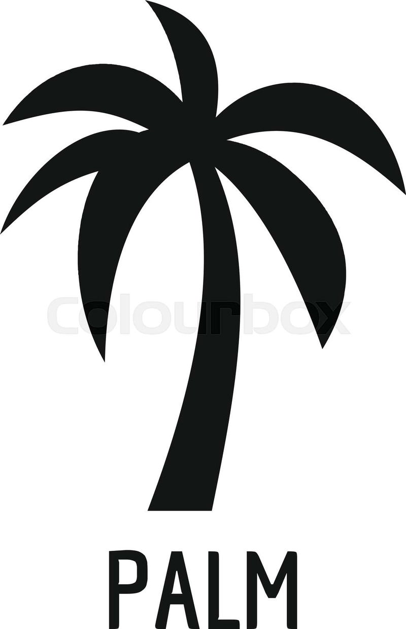 palm tree vector