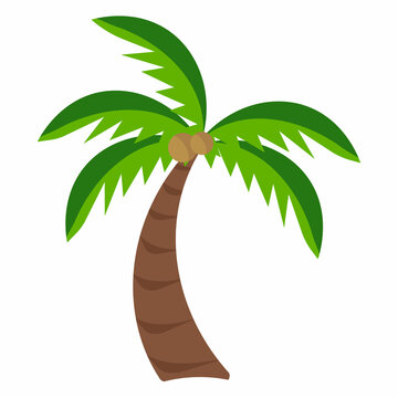 Cartoon palm tree on white background with coconuts logo summer ...