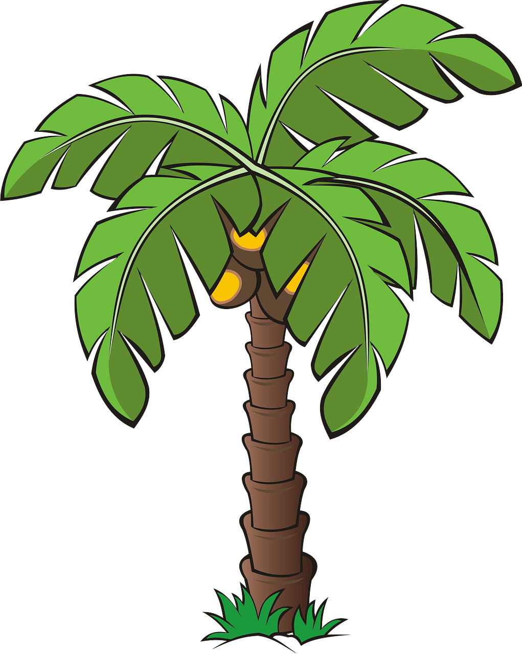 Palm tree - Free vector clipart images on clipart library.com