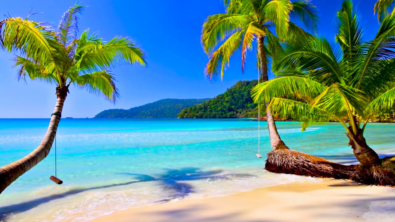 4k UHD Tropical Beach &amp; Palm Trees on a Island, Ocean Sounds, Ocean Waves,  White Noise for Sleeping.