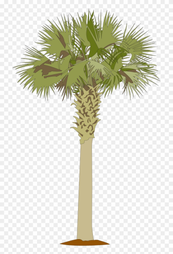palmetto cliparts