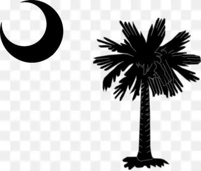 palmetto cliparts