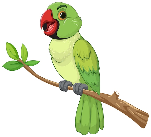 parrot toy cliparts