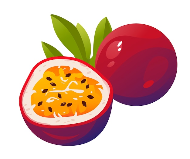 passion fruit clipart