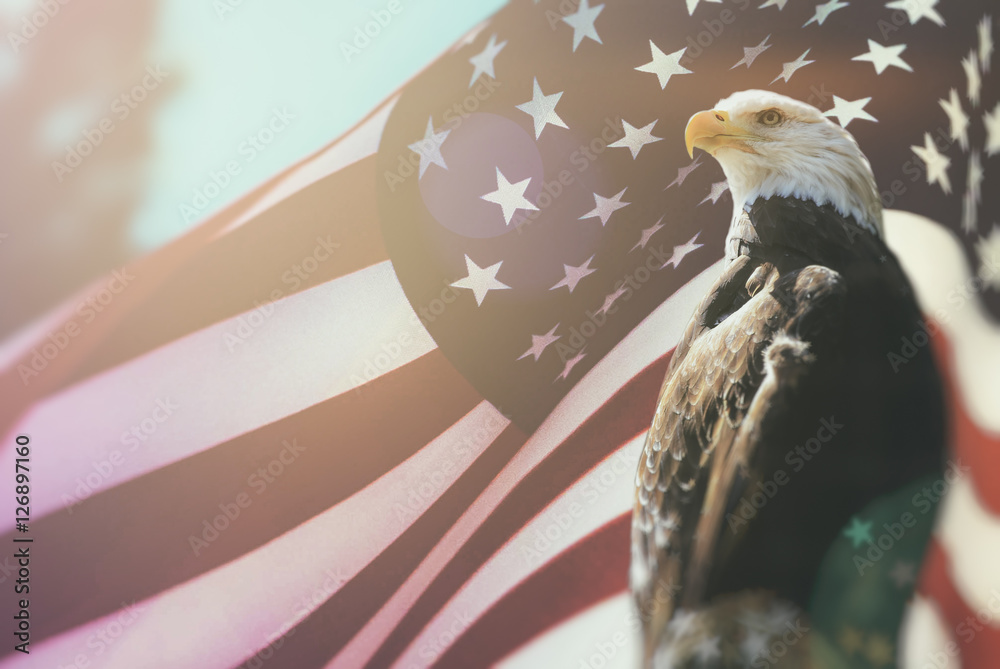 patriotic bald eagle