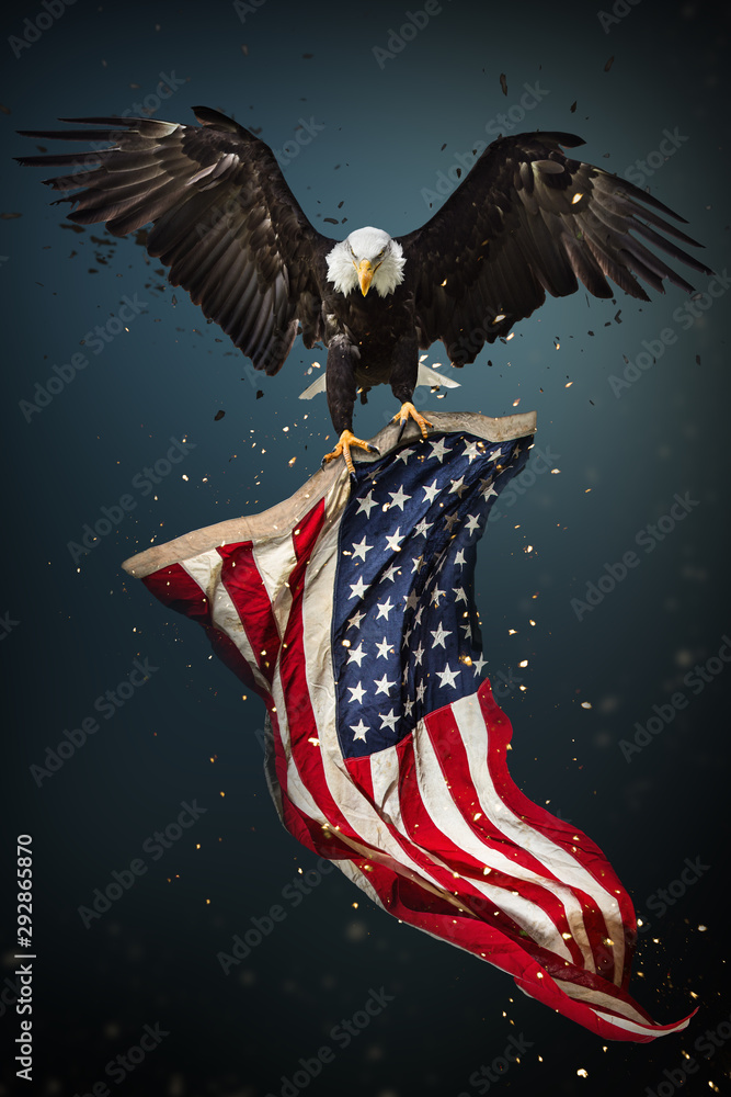 patriotic bald eagle
