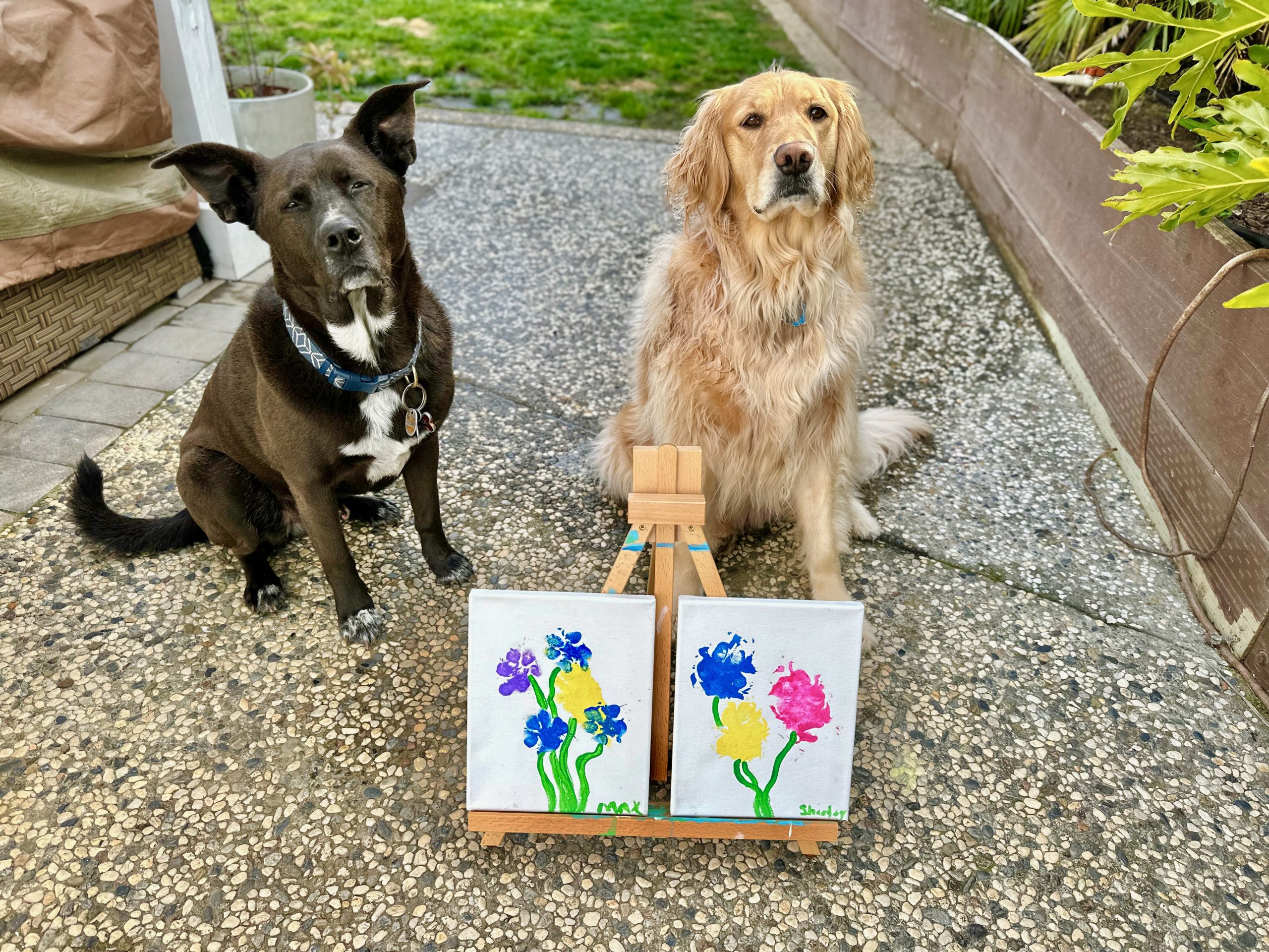 paw print art