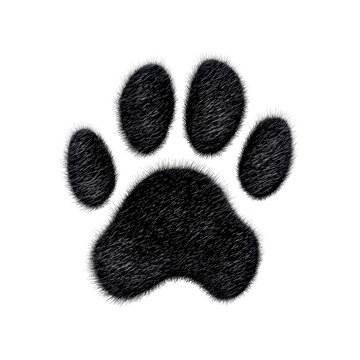 Transparent Paw Prints Images – Browse 14,235 Stock Photos ...