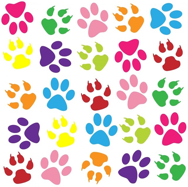 paw print images free