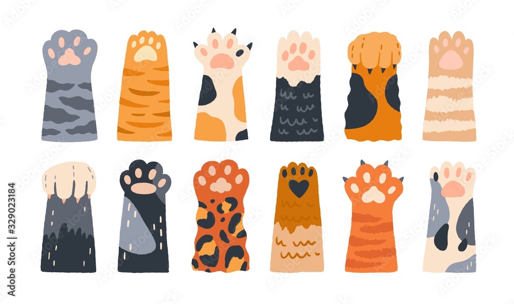 Different cartoon colored cat paws set vector graphic illustration ...