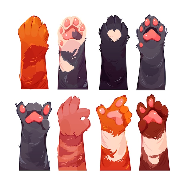 Cartoon Paws Images - Free Download on clipart library