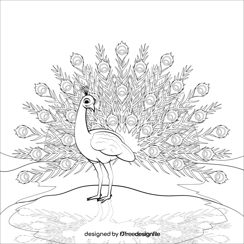 peacock drawing black and white