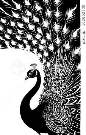 peacock drawing black and white