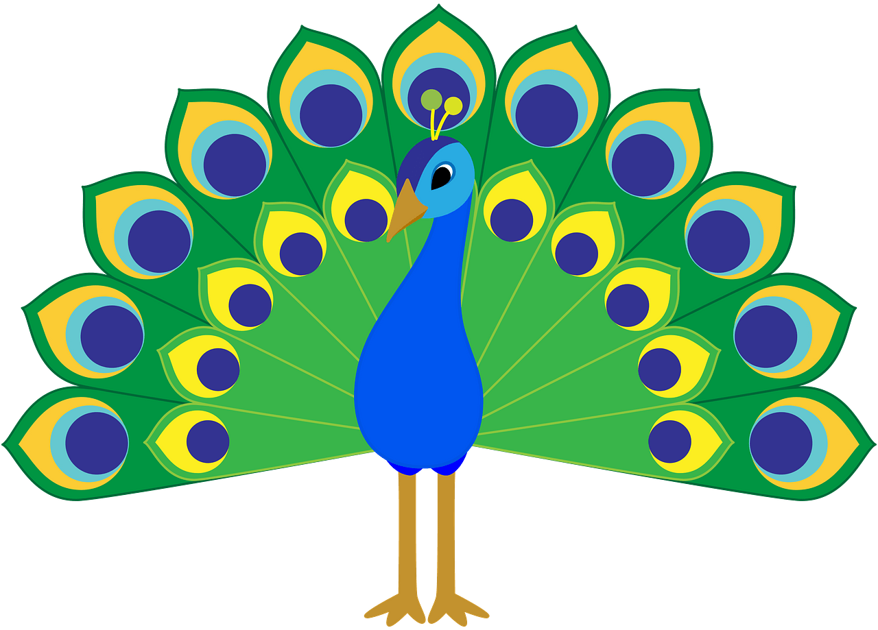 Peacock - Free vector clipart images on clipart library.com