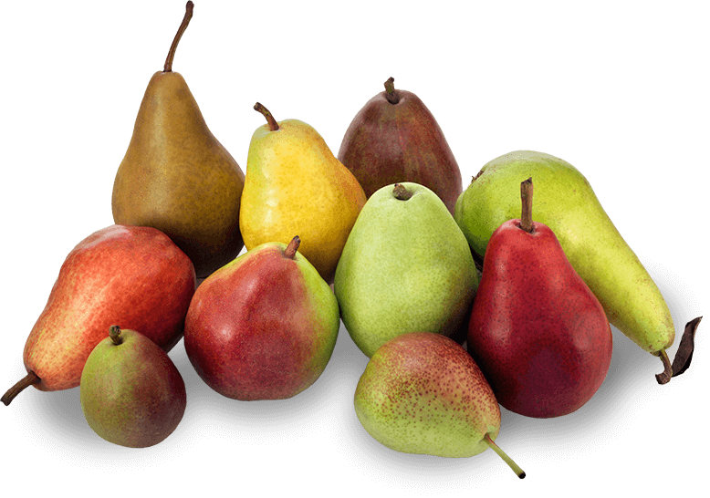 pearss