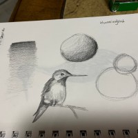 pencil art image