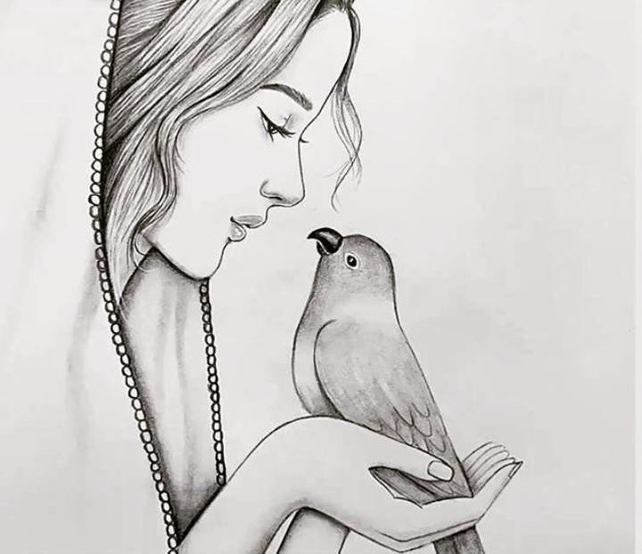 pencil art pic