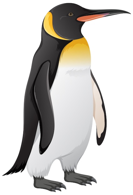 penguin cliparts