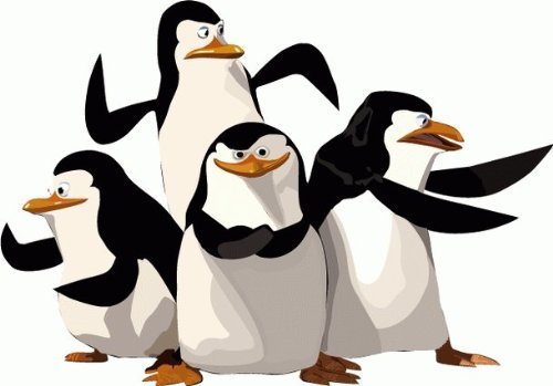penguins cartoon