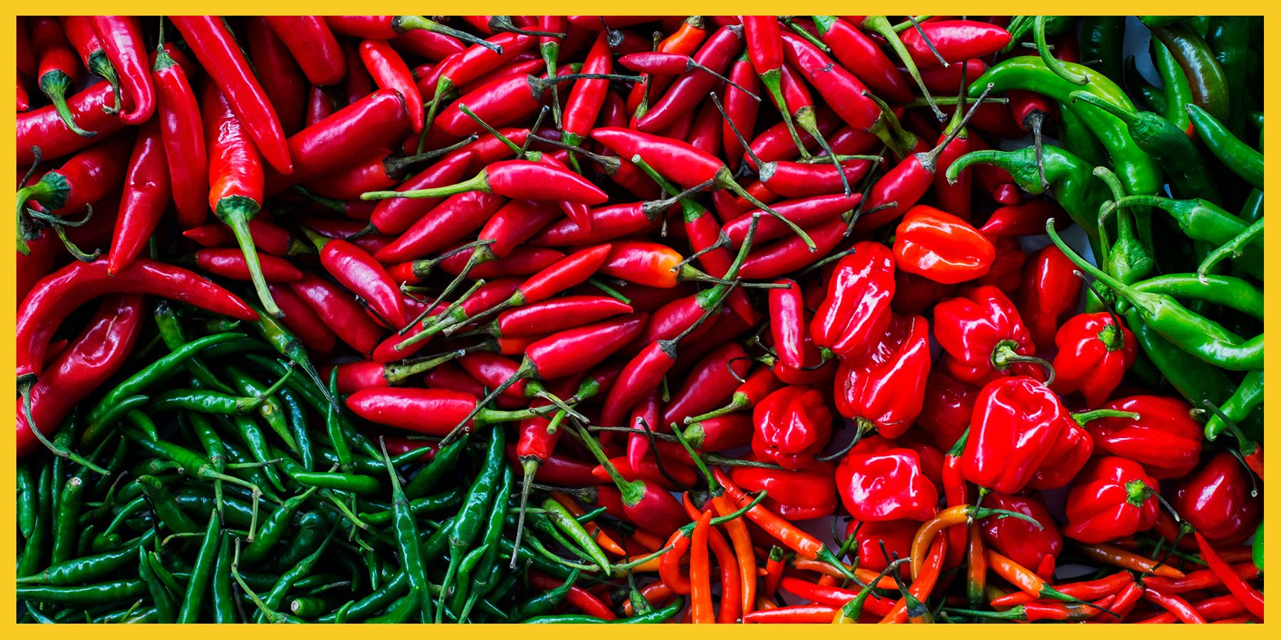 Types Of Peppers — Common Types Of Peppers