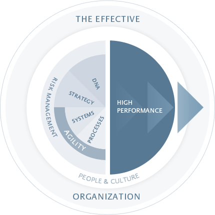 performance cultures