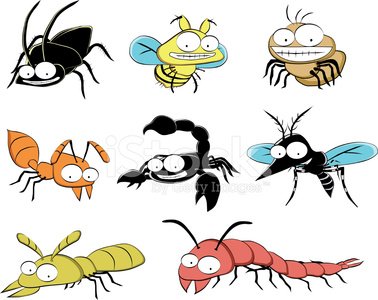 Insect Pests At Home Vector Stock Clipart | Royalty-Free | FreeImages