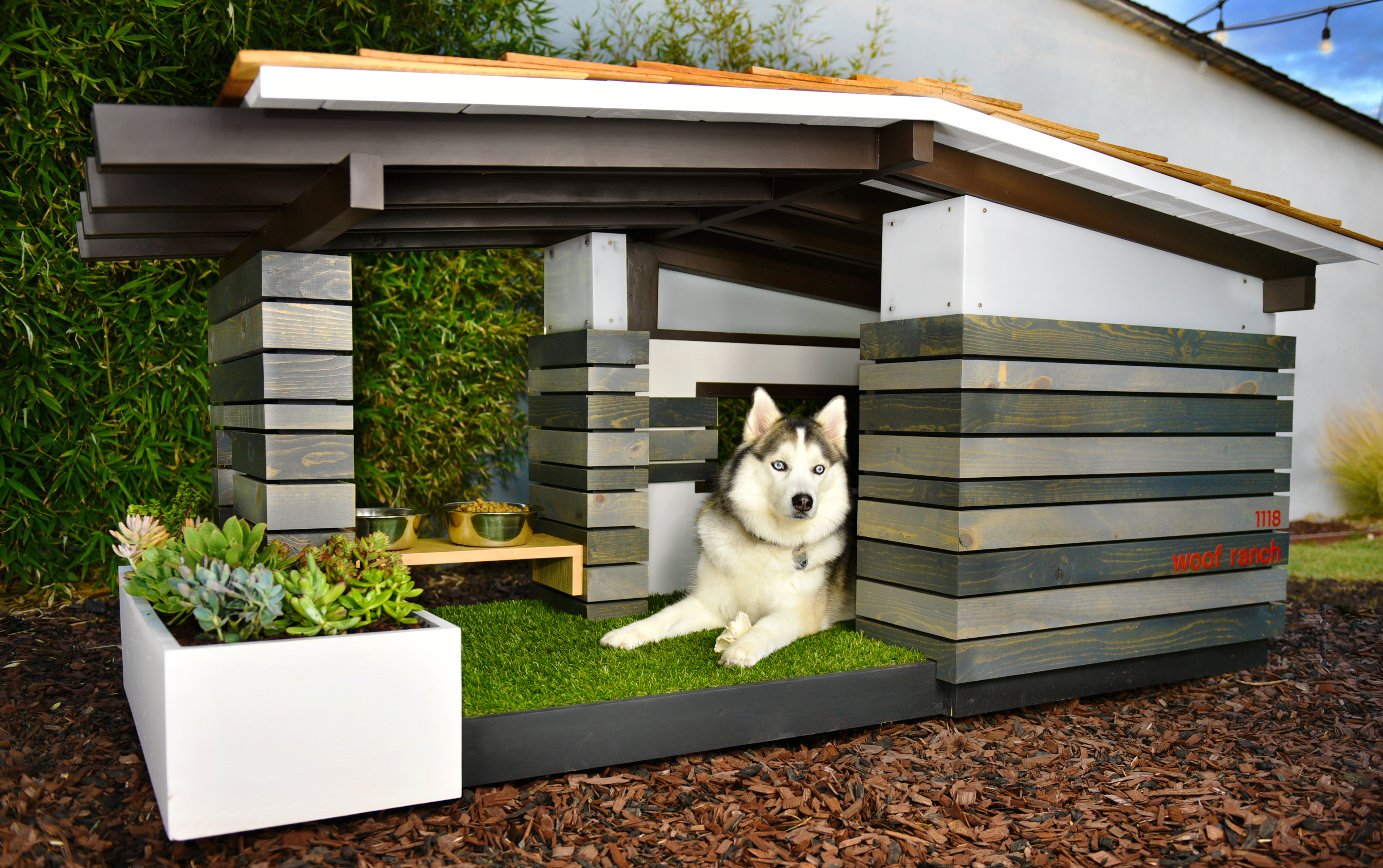House of a hot sale dog