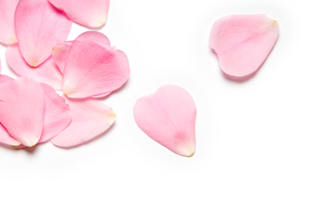 petals