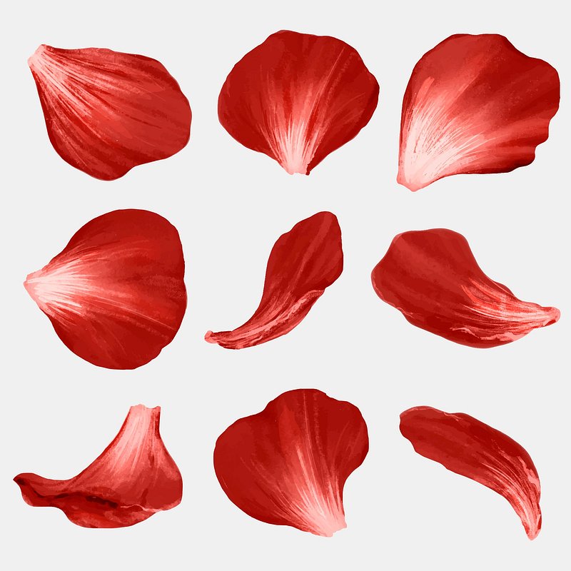 petals