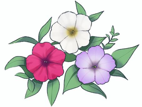 petunia cliparts