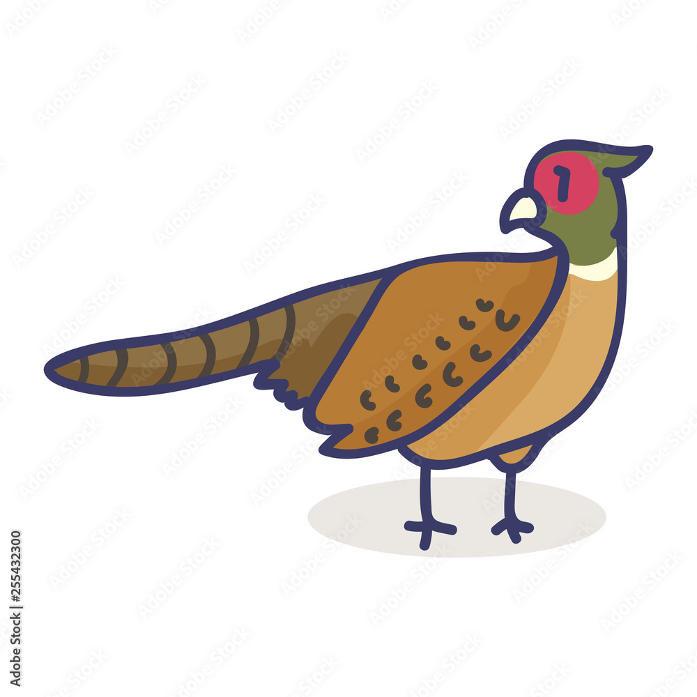 Cute pheasant cartoon vector illustration motif set. Hand drawn ...