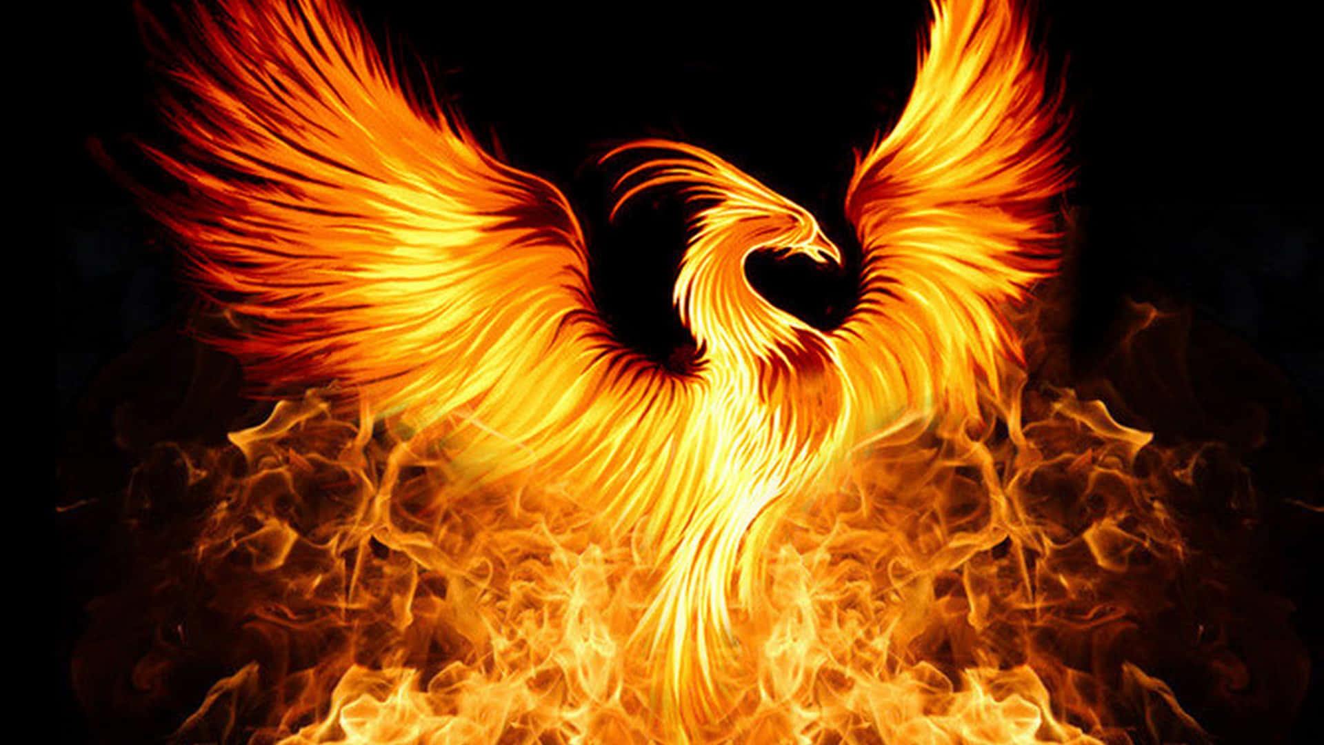 phoenix