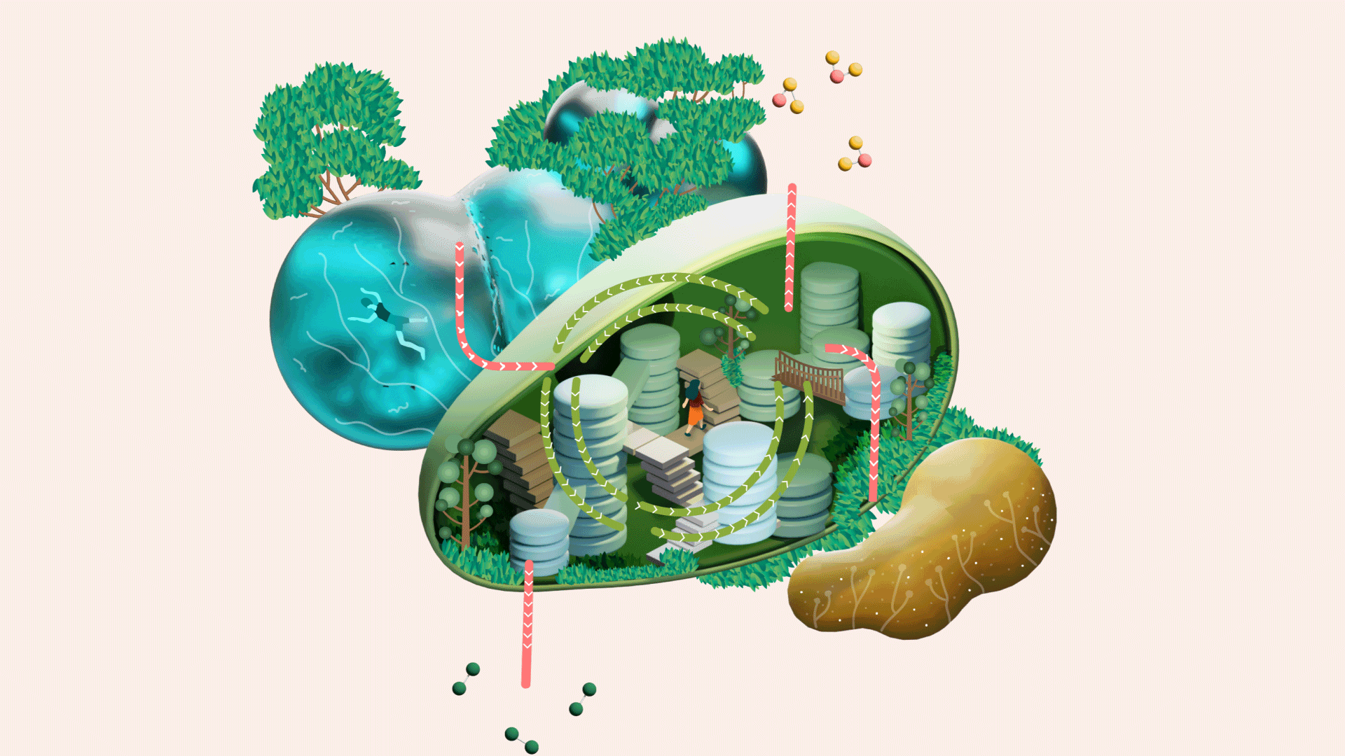 photosynthesis gif