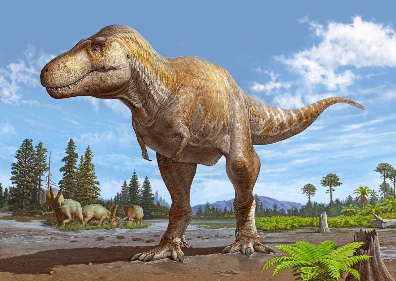 pic of dinosaur