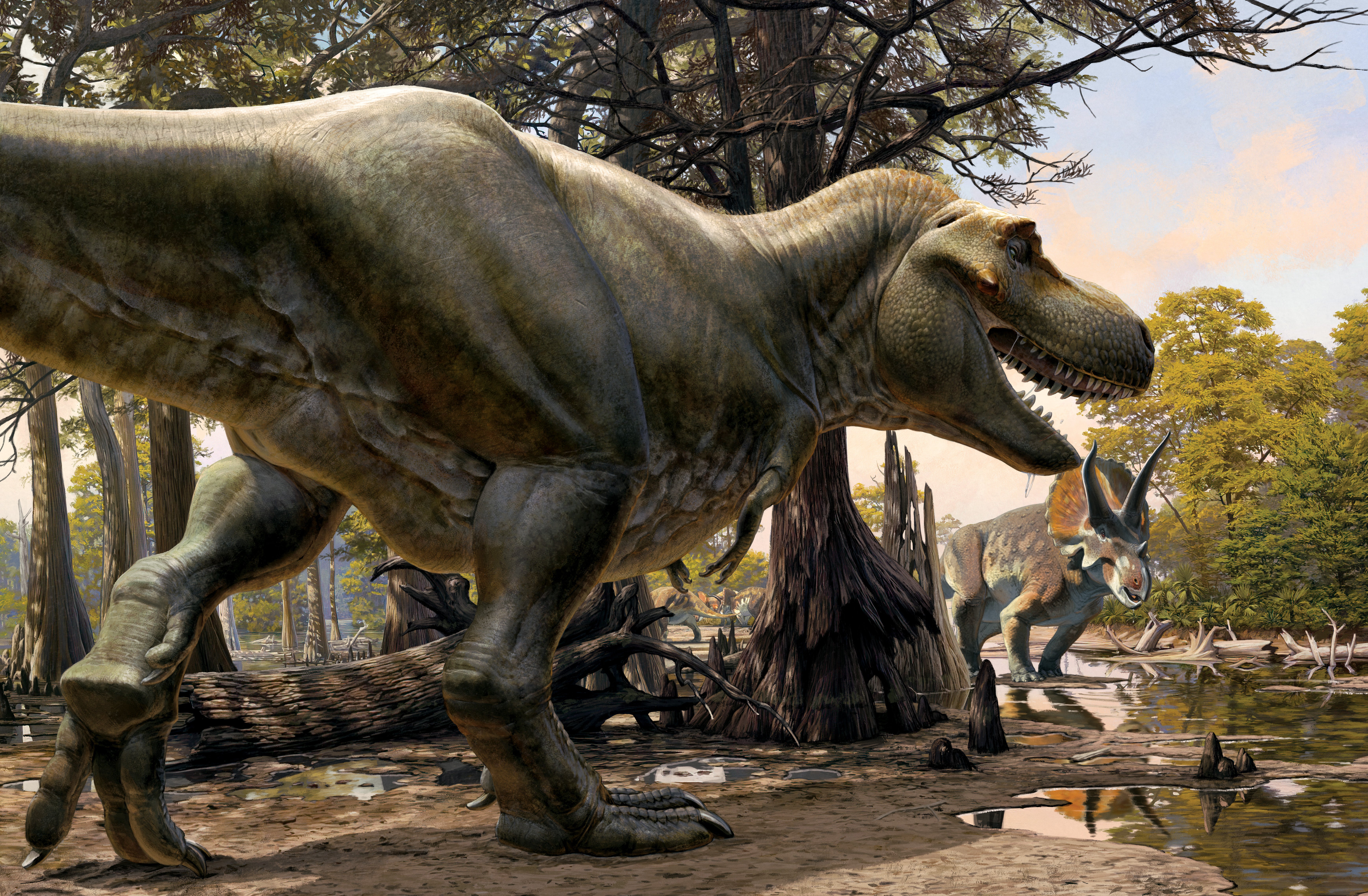 pic of dinosaur