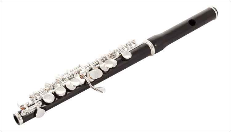 The Psychology of Piccolo Practice and Performance – Band Director ...
