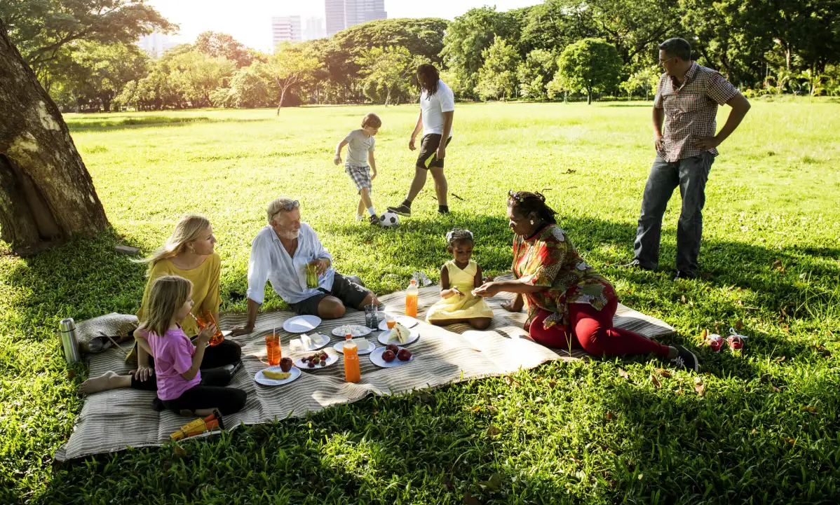 picnic pictures